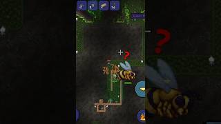 Fastest Queen bee cheese kill