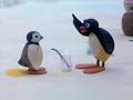 Aaf Pingu S01e18 Pingus Lavatory Story Dvdrip Xvid1 