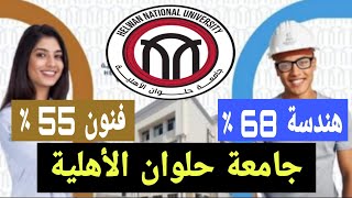 جامعة حلوان الأهلية ، الجامعات الأهلية الجديدة