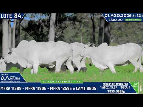 LOTE 84   MFRA 11589   MFRA 11906   MFRA 12595 e CAMT 8805