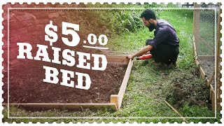 How to Build a Raised Bed CHEAP and EASY from Fence Board for Planting Tomato