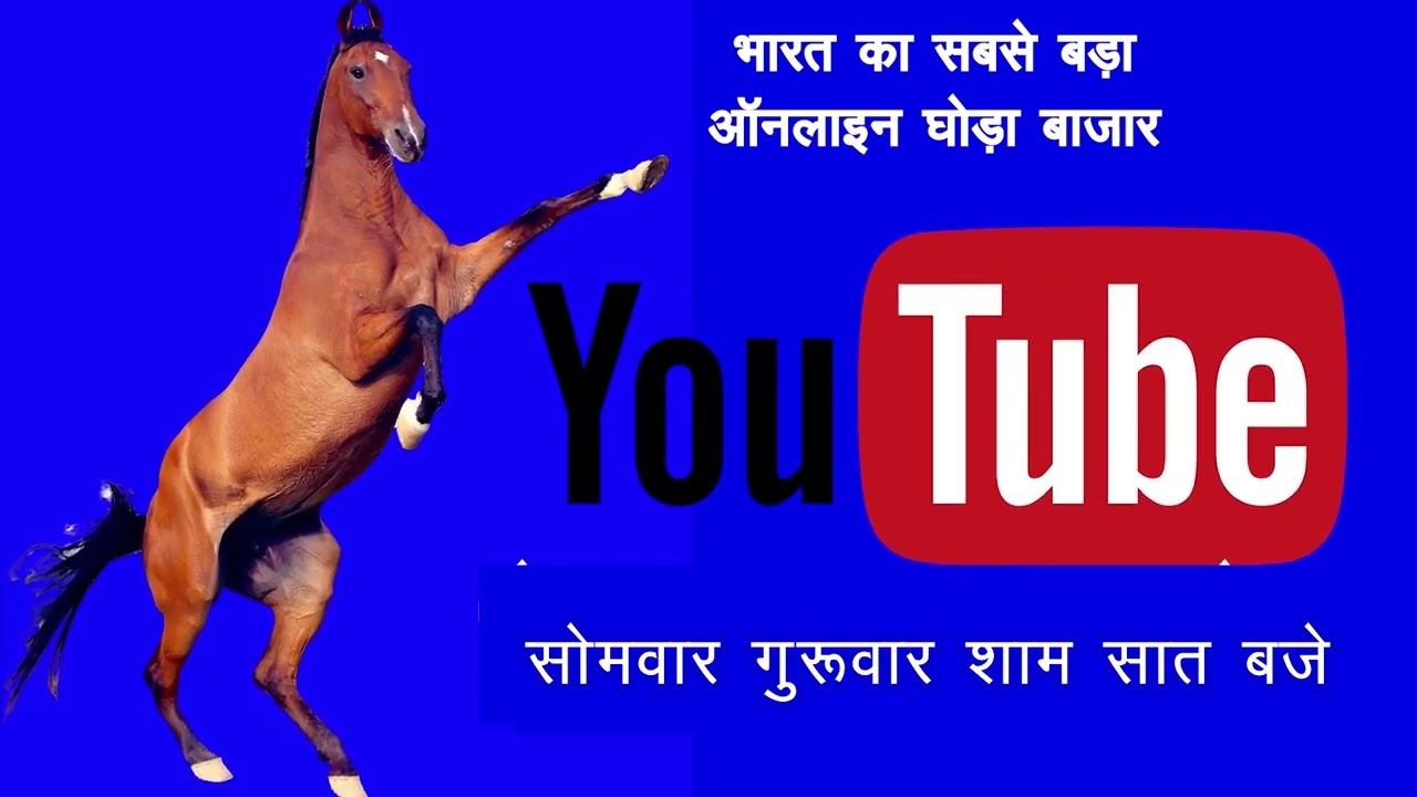 किसान सस्ते घोड़े सीरीज 𝐎𝐧𝐥𝐢𝐧𝐞 𝐇𝐨𝐫𝐬𝐞 𝐌𝐚𝐫𝐤𝐞𝐭 𝐈𝐧 𝐈𝐧𝐝𝐢𝐚 𝐇𝐨𝐫𝐬𝐞𝐬 𝐅𝐨𝐫 𝐒𝐚𝐥𝐞 𝐈𝐧
