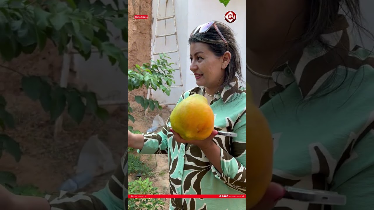 جنة استوائية بأيادي ڨفصية