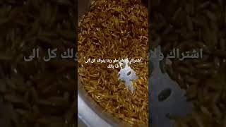 شوربة لسان عصفور food