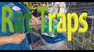 DIY Rat Trap form Dollar Store Homestead Care