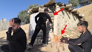 Searching for Muhammad's mother in the mountains: Muhammad saves a dog.