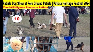 Patiala Dog Show at Polo Ground Patiala | Patiala Heritage Festival 2024 | Ravi World Knowledge Vlog