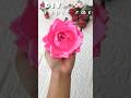 how to make paper flower/ pink rose making with paper #paperrose #shorts #flowermaking