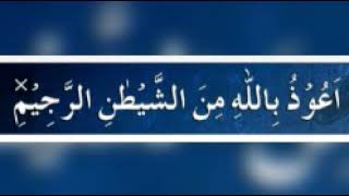 Surah Yasin سورة يس recited by Brother Muzammil Hasballah
