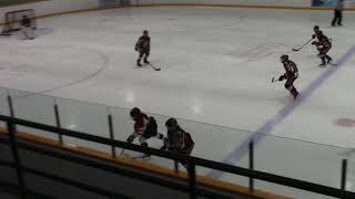 Oakville Atom AA vs Markham Feb 3 Period 1 pt.2