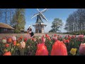 NETHERLANDS - Keukenhof 2021  Episode 1