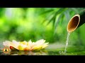 🔴 Relaxing Music 24/7, Stress Relief Music, Sleep Music, Meditation Music, Study, Calming Music