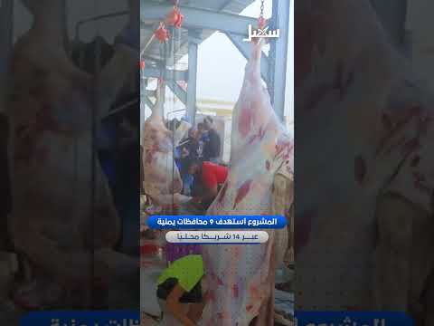 مؤسسة البادية للتنمية تنفذ مشروع توزيع لحوم الأضاحي في مارب