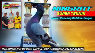 Download Lagu FINAL‼️NINGRAT SUPER TEKNIK BIKIN LAWAN NGIKUT PERMAINANYA PRA LOMBA LAPAKOL SMP PUCUKSARI KENDAL MP3