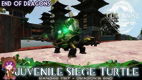 GW2 Juvenile Siege Turtle Ranger pet