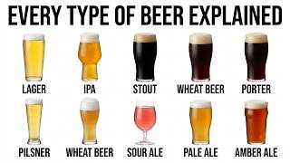 Every Type of Beer Explained