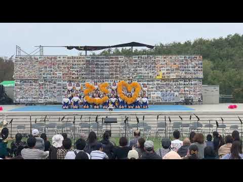 2019.11.3中京チア