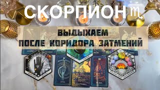 картинка: Скорпион ♏️ прогноз с 22 по 28 сентября 2025