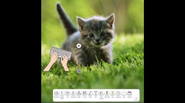 Classroom Screen Embedding