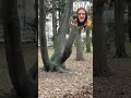 У меня белка …
