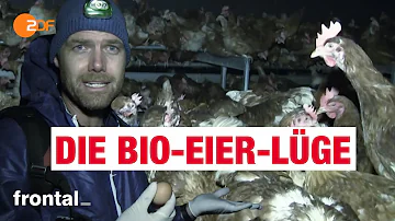 Warum schmecken Bio Eier anders?