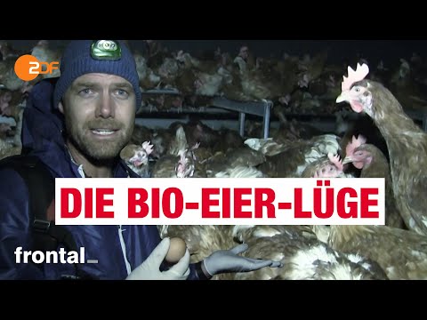 Video: Welche Masse hat ein normales Hühnerei?