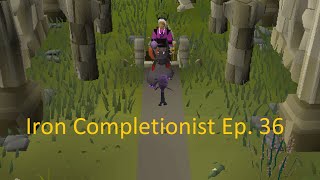 This item took 350 days played - Iron Completionist #36 (938 Coll Log)