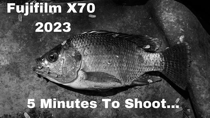 Fujifilm X70 2023 / Street Photography / POV / Black & White / 5 Minutes to shoot / Hanoi /