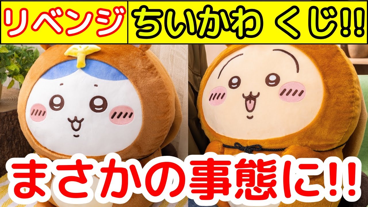 たぬきだもんくじ B賞　コンプリート 2025年最新】たぬきだもんくじの人気アイテム - メルカリ