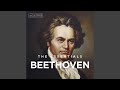Miniature de la vidéo de la chanson Concerto For Piano And Orchestra No. 5 In E-Flat Major, Op. 73 "Emperor": Ii. Adagio Un Poco Mosso