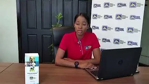 JN Small Business Loans