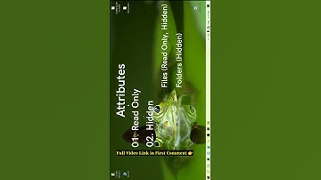 How to set read only and hidden attributes of folders and files - Tamil |BBFs|Mr.BeardBoy Tamil-Tech