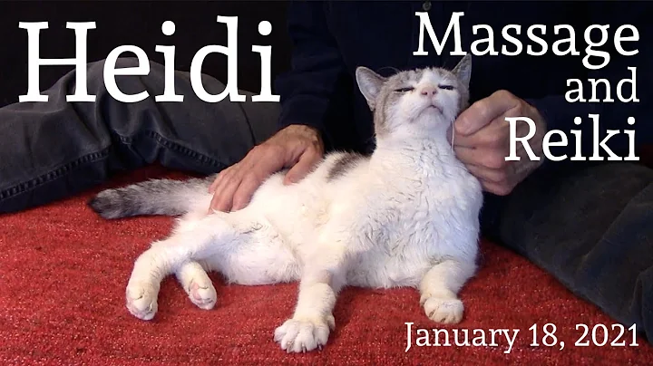 Heidi  Massage and Reiki, January 18, 2021