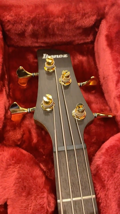 Ibanez SR5500 Prestige 4-String Bass! ☕ #BassGuitar
