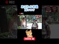 🤣まじで笑ったwww #水曜日のダウンタウン#shorts