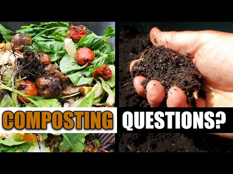 Kitchen Composting: A Complete Beginner's Guide - Compost Magazine