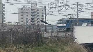 1091レ〜4097レ千葉貨物EF210桃太郎143号機