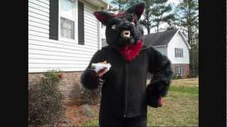 Black and Red Wolf Partial
