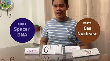 Breakthrough Junior Challenge 2023: CRISPR