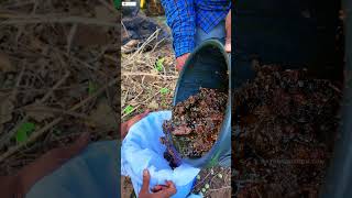 Stingless Bee Honey For Brother Karthik, Chennai