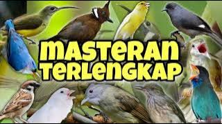 PALING GILA!! DIJAMIN MUNTAH MATERI !!! Masteran terlengkap dengan tembakan super pedass