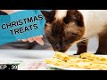 We make some delicious Christmas themed treats for the pets (Seasons greetings)