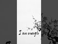 I Am Enough — June 5, 2026 🌸