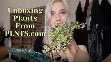 PLNTS.com Unboxing 2 | Opening Plant Mail