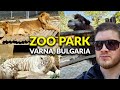 Primorski-Park Zoo - Autumn Walk (Varna, Bulgaria) 🇧🇬