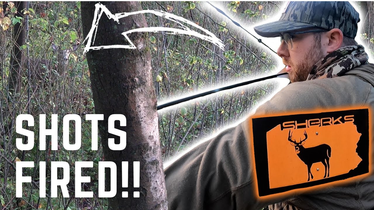 PA Big Woods Hunt With Sherk s Guide Service SHOTS FIRED YouTube pa-big-woods-hunt-with-sherk-s-guide-service-shots-fired-youtube