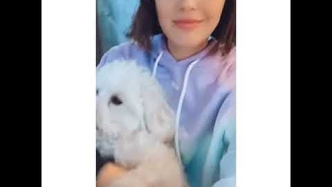 “Lucy  hale with Elvis via instagram stories