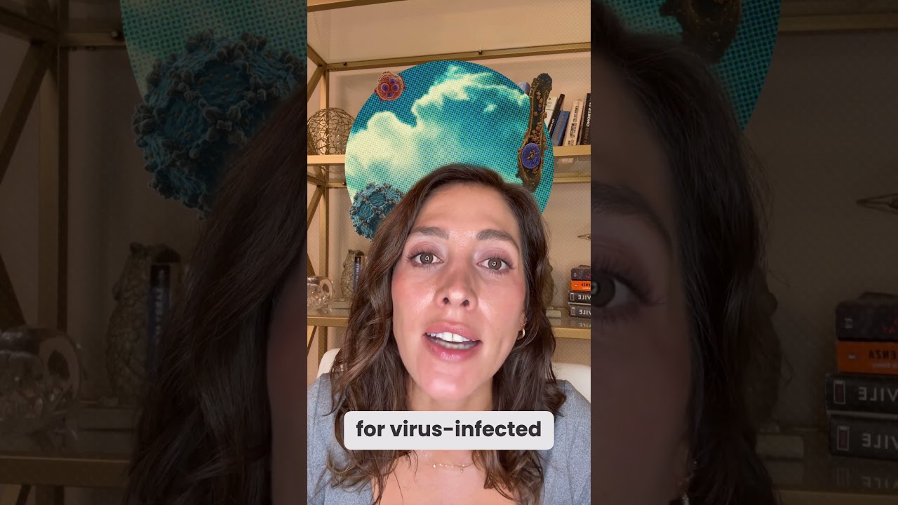 What are the different immune cells in your body?  