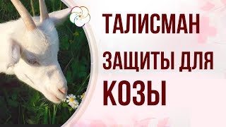 ТАЛИСМАН ЗАЩИТЫ В 2019 по знаку рождения Коза| 5 (ПЯТЬ) Экслюзивных мастер классов в записи