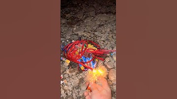 Firecracker fire trick #shorts #cracker #tricks #fireworks #newyear